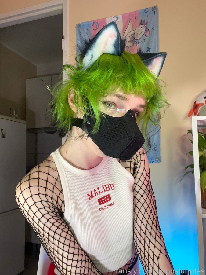 pvppyjules